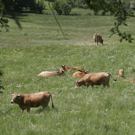 La Maison D'anastasie *