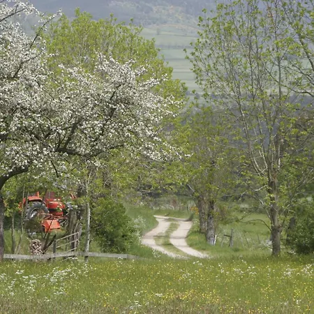 La Maison D'anastasie 別荘