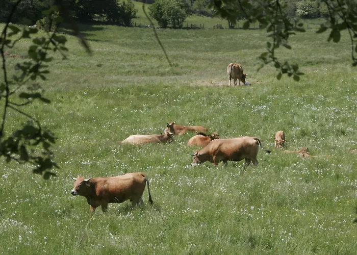 La Maison D'anastasie *