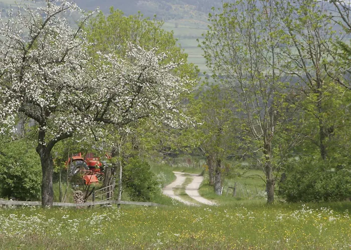 La Maison D'anastasie Holiday home